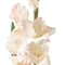 12 Pack: White Gladiolus Stem by Ashland®